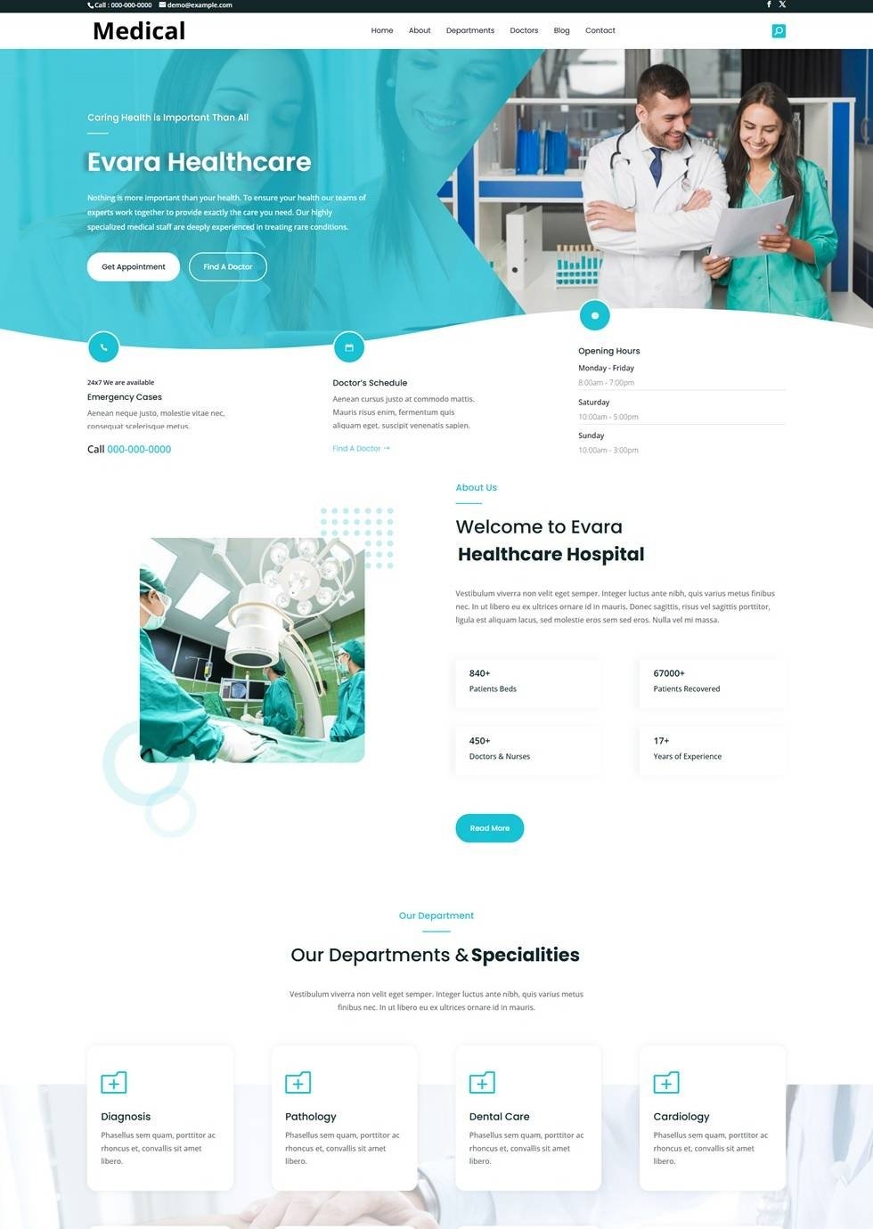 Home 13 | Evara Web Studio evara web design local medicine website sample